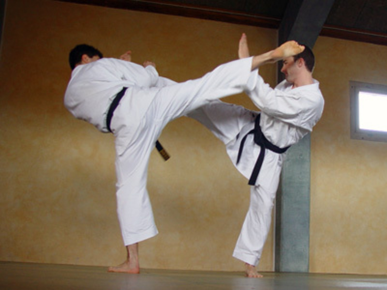 foto musashi.ch