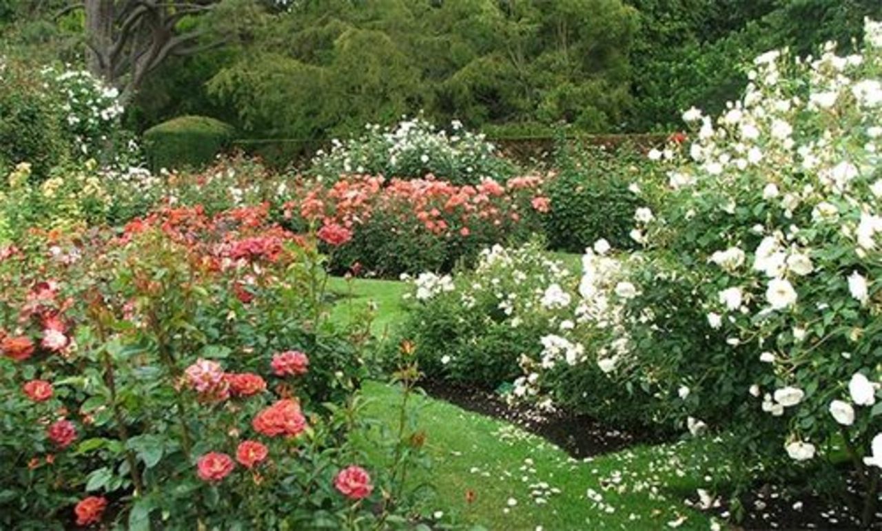foto gardeninggarden.com