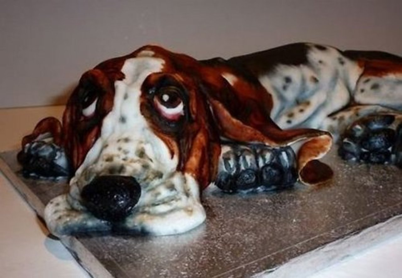 foto cakedoggydog.com