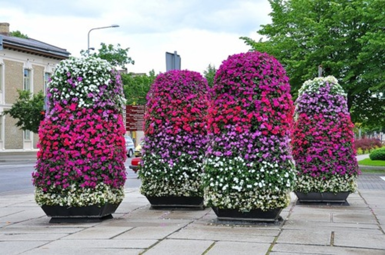 фото talusha.3bb.ru