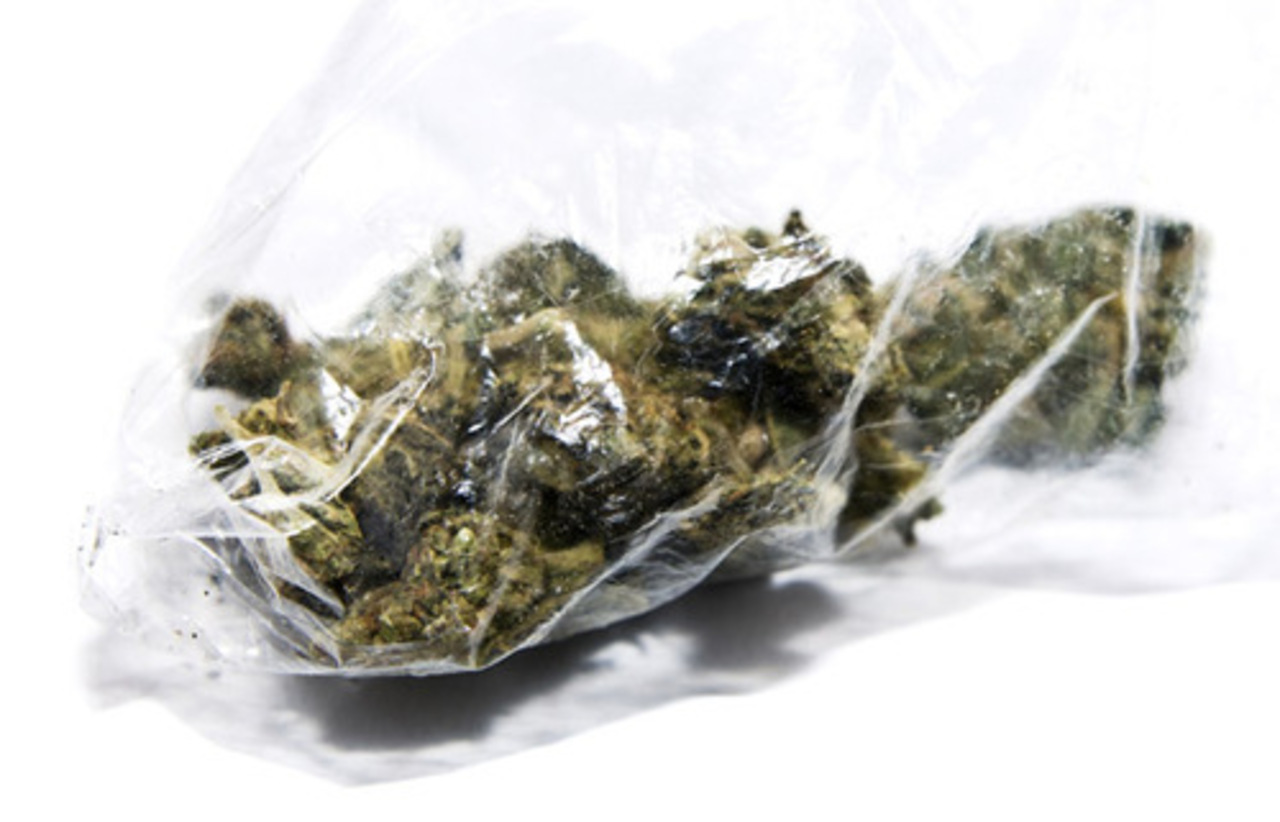 foto amsterdammarijuanaseeds.net
