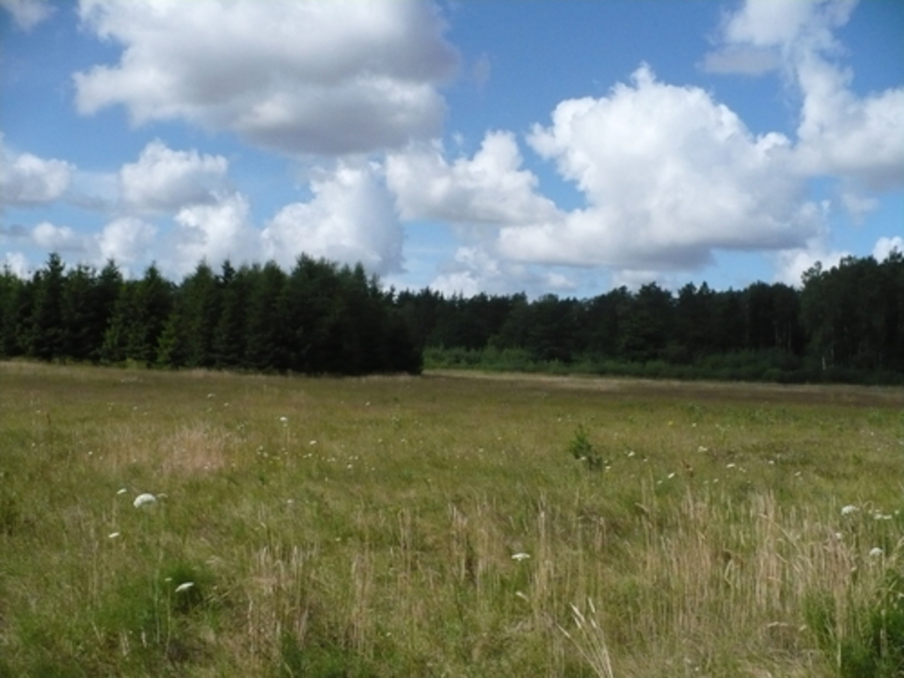 фото baltic-research.lt