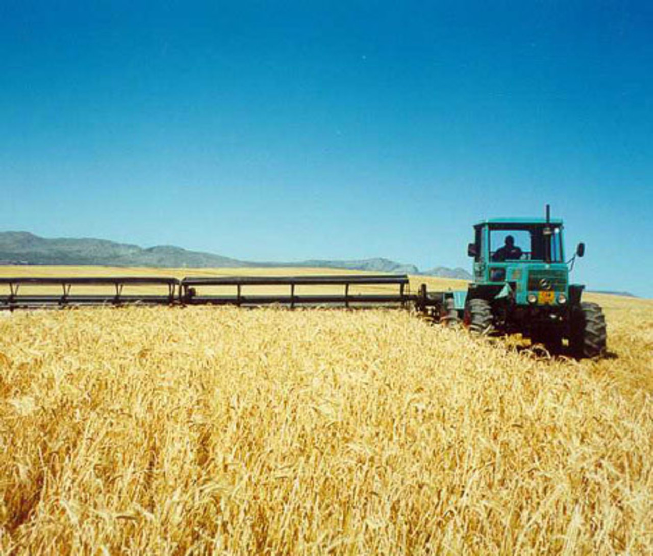 foto sabmiller.com