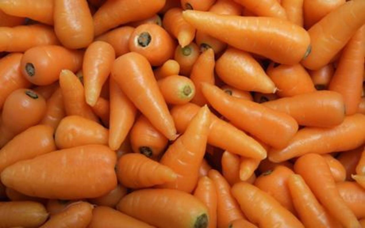 foto sizzlingtastebuds.com