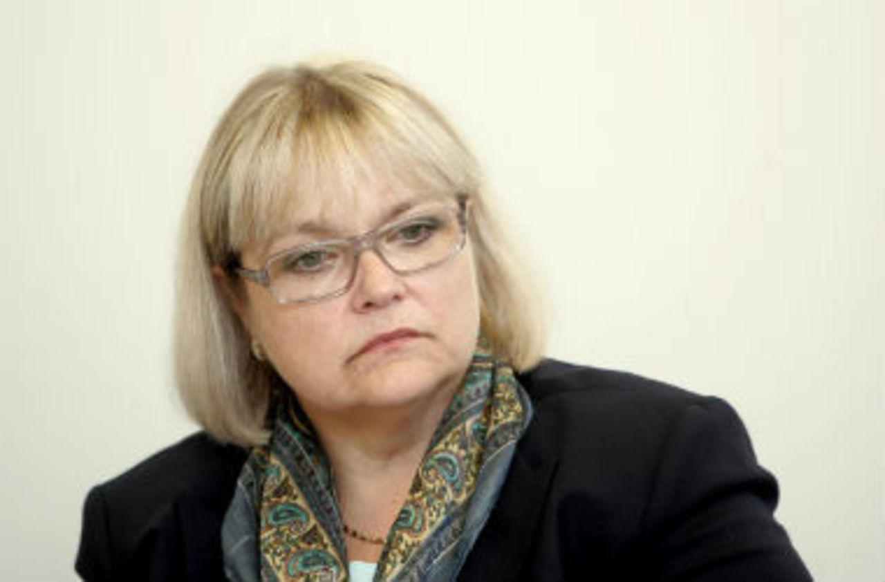 foto pietiek.com