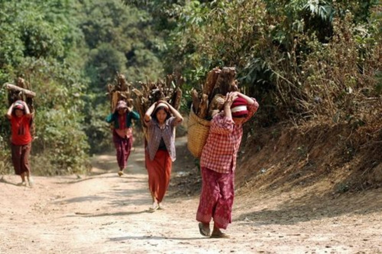 foto thenatureactive.com