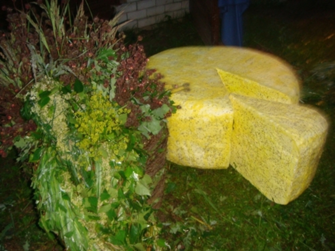 foto svetkusajuta.lv