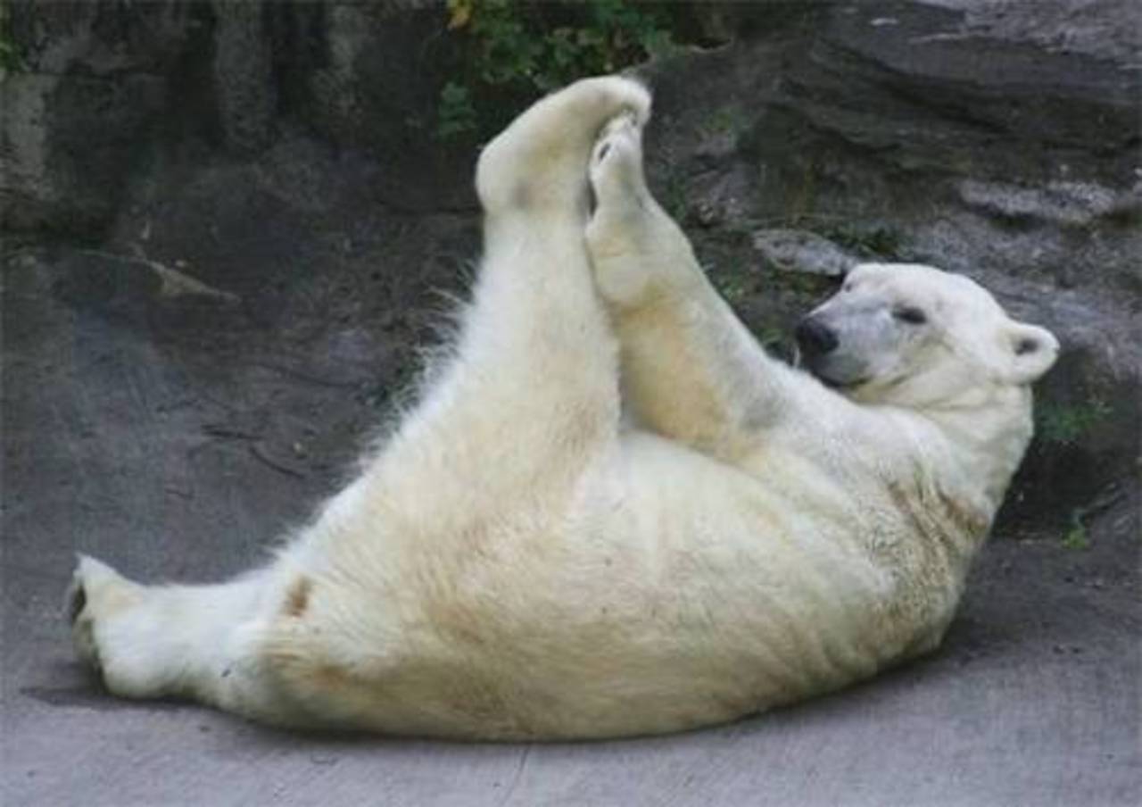 фото funnypicture.zoda.ru