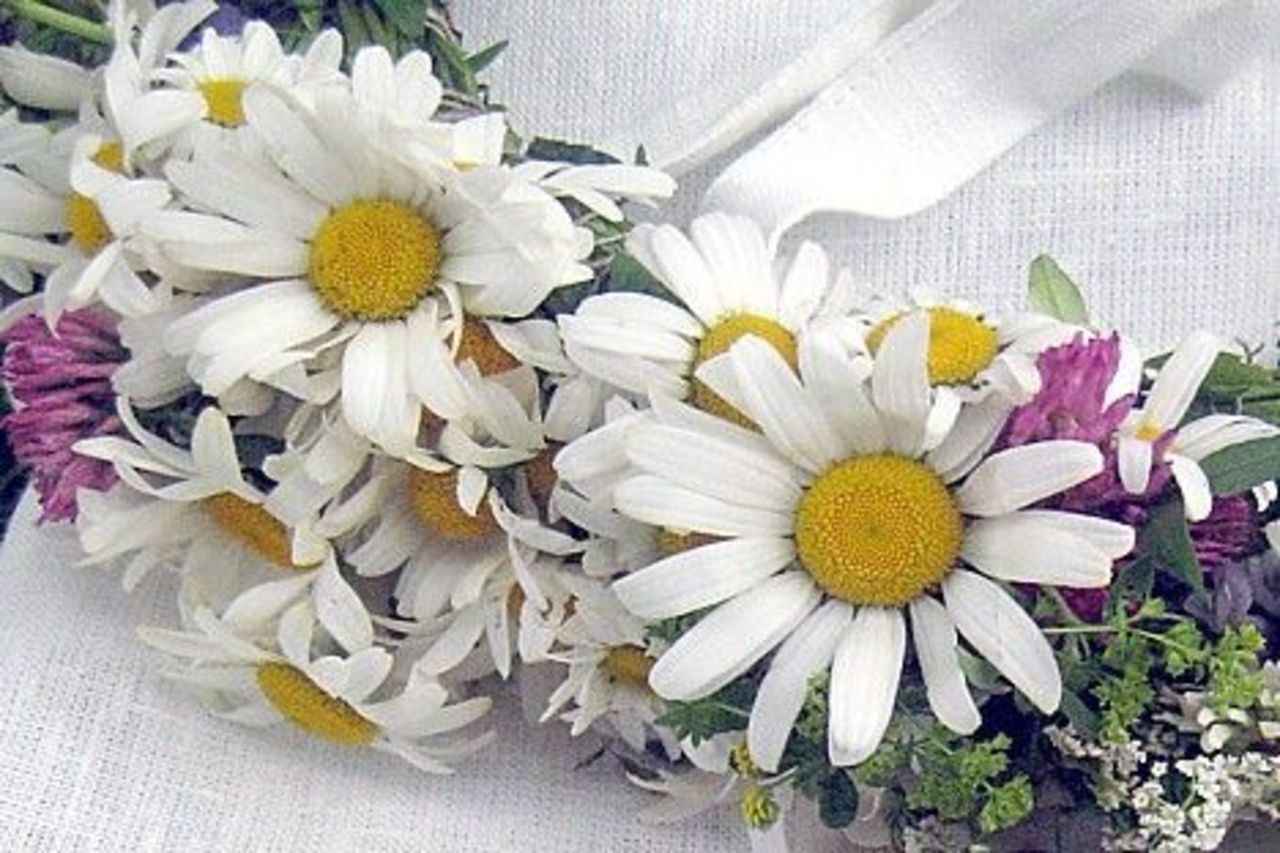 foto baltictravelnews.com
