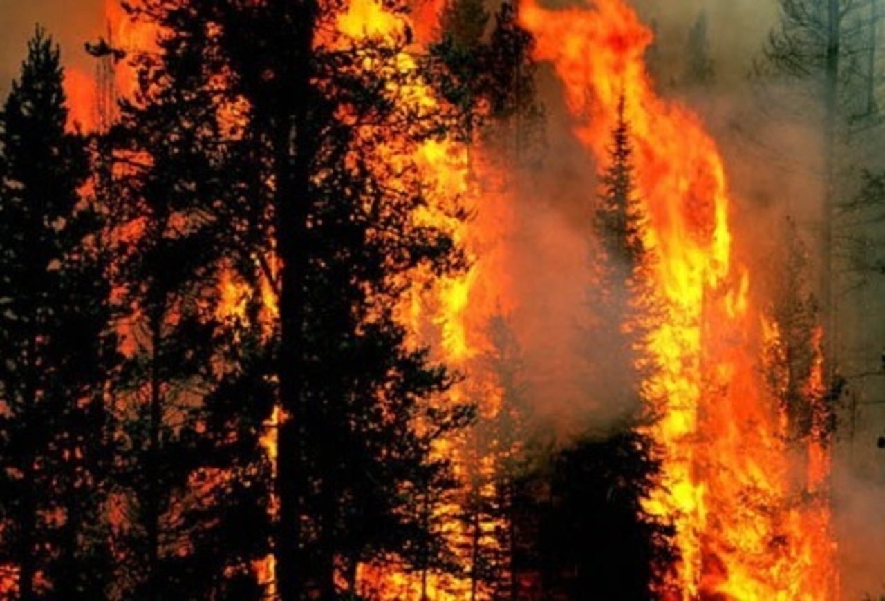 foto top news