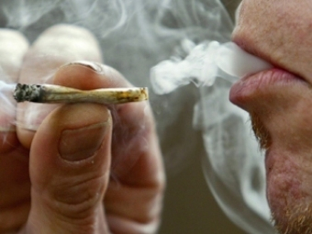 иллюстрация с сайта iloveweed.net
