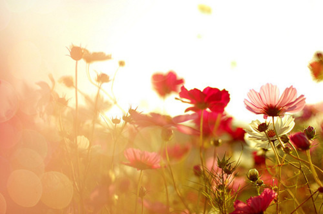 фото favim.ru