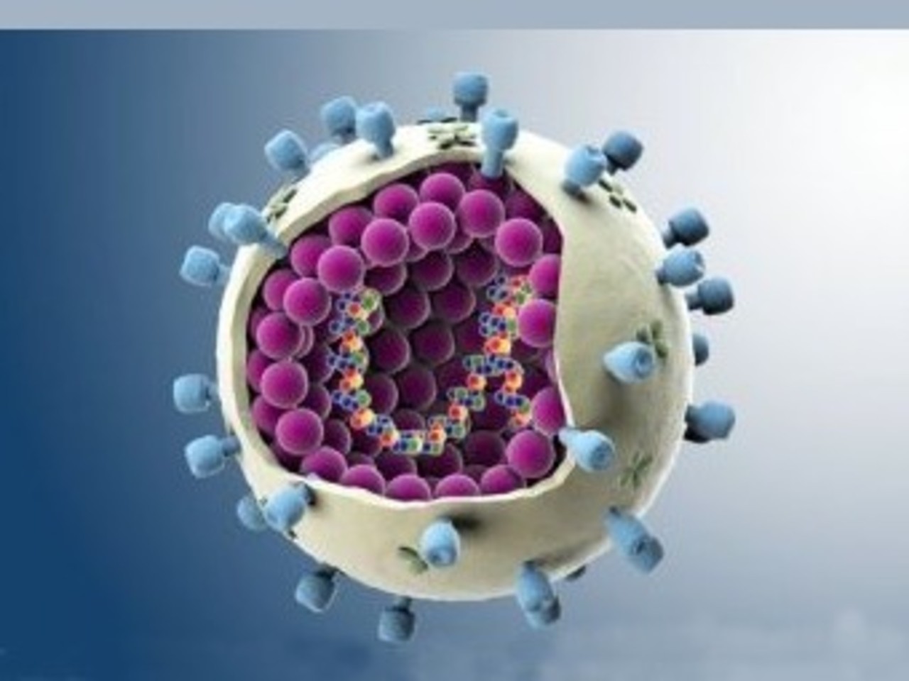 Вирус гриппа. Изображение с сайта sciencephoto.com.