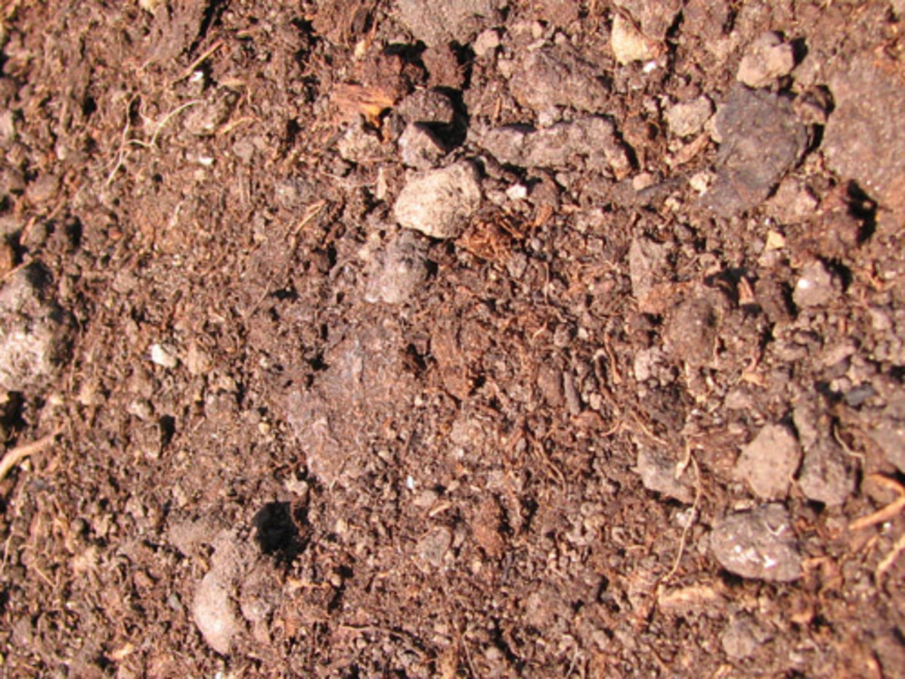 foto gardenclub.net.ua