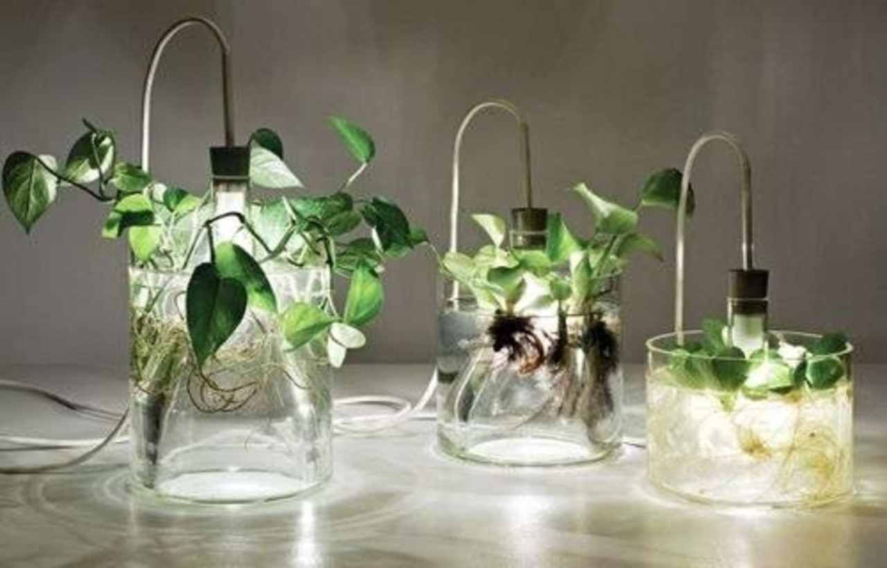 фото: Trendhunter