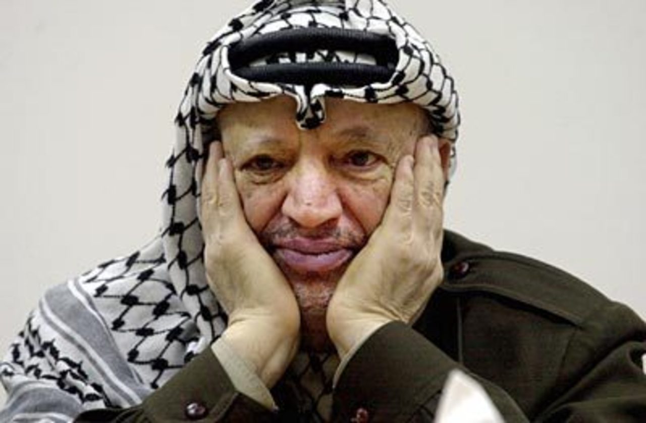 foto aref.de