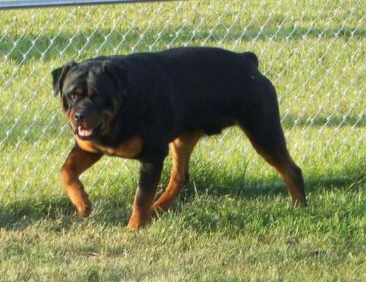 foto killam.canadianlisted.com
