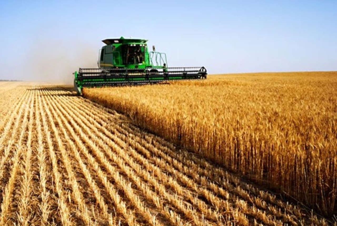 foto agrifoodforum.com
