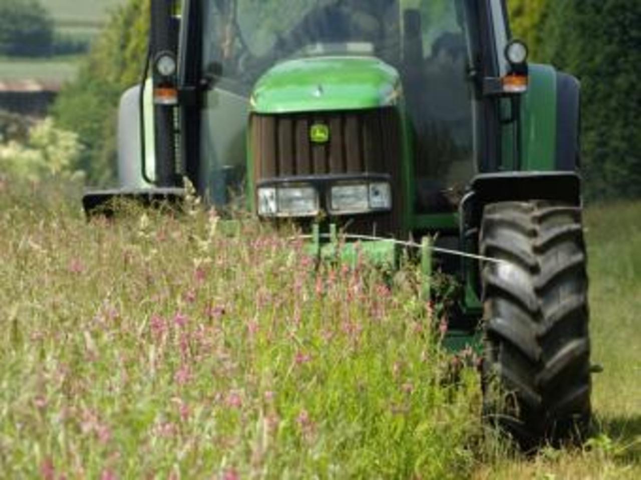foto sainfoin.eu
