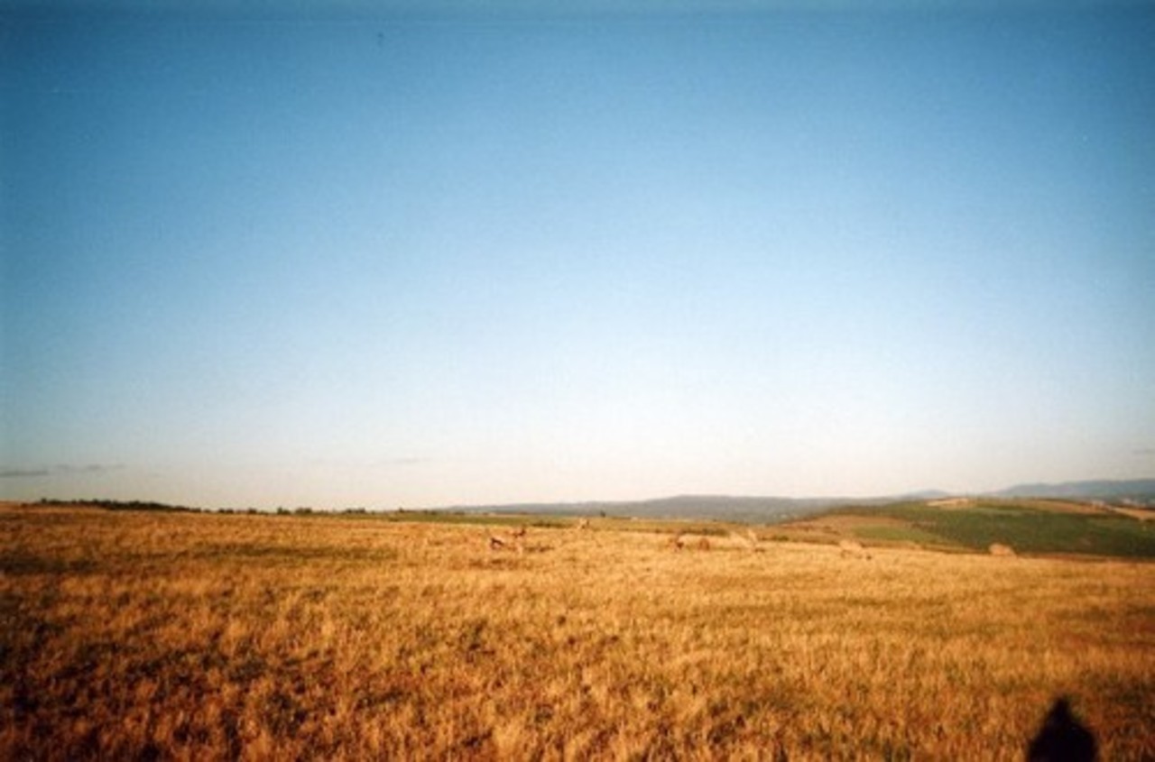 foto mezi.lv