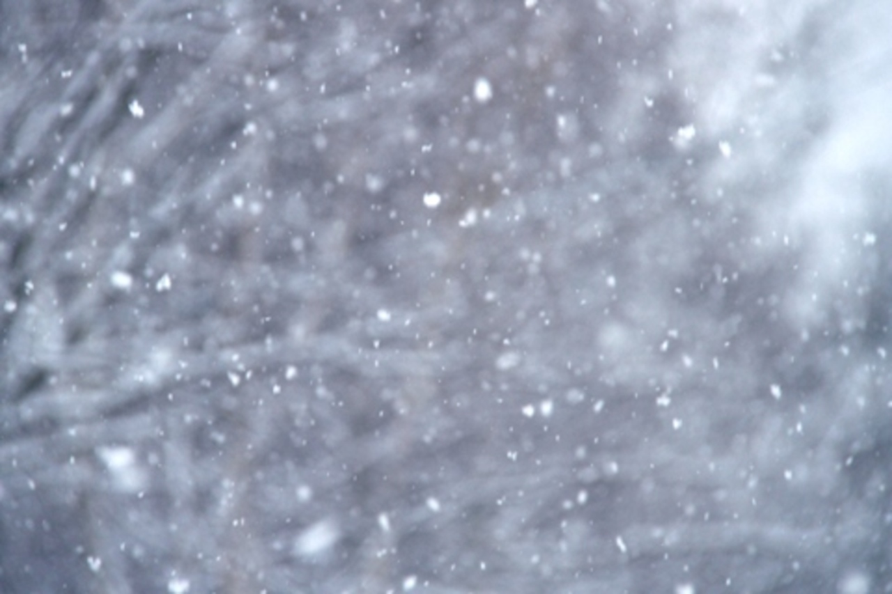 foto powderlife.com