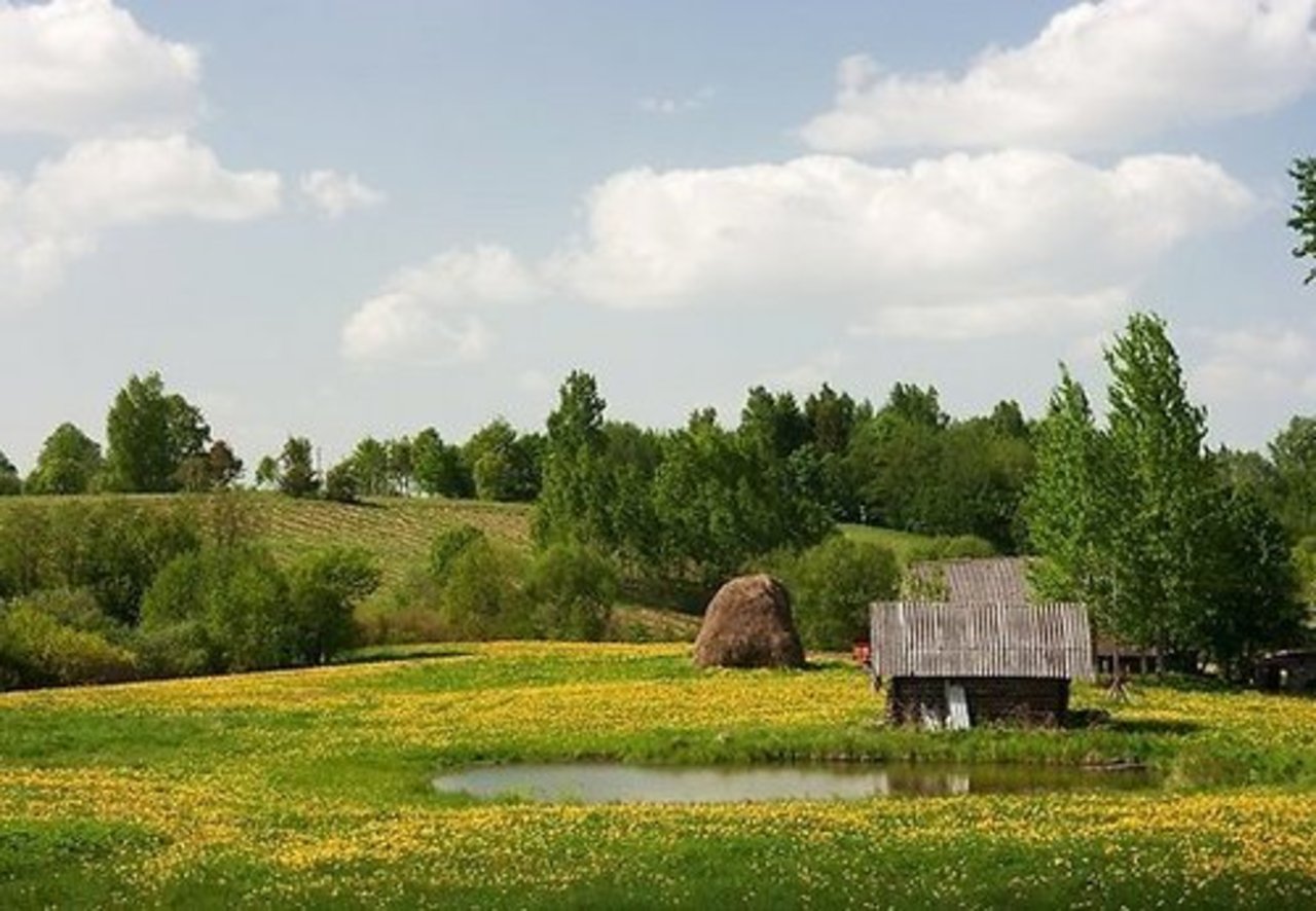 фото gorod.lv
