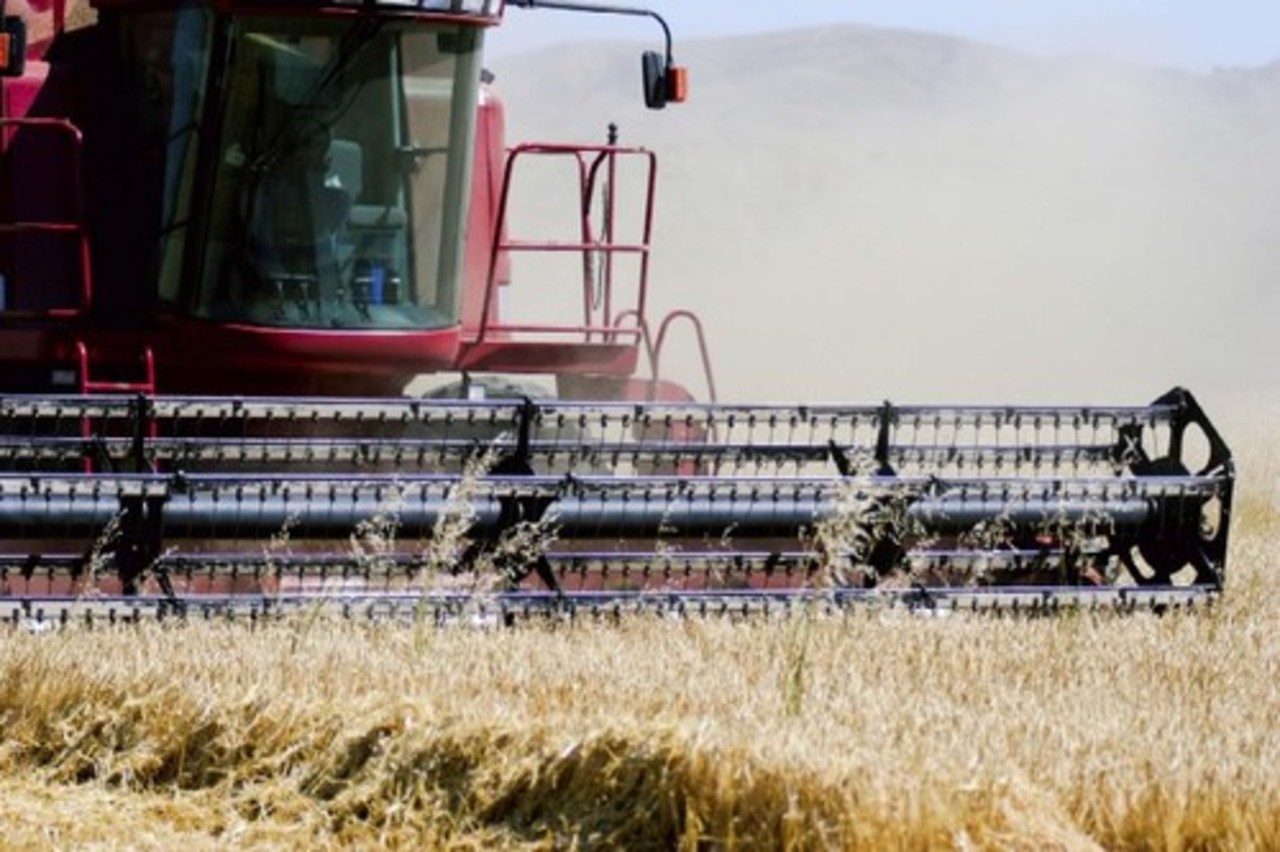 foto texasagriculture.gov