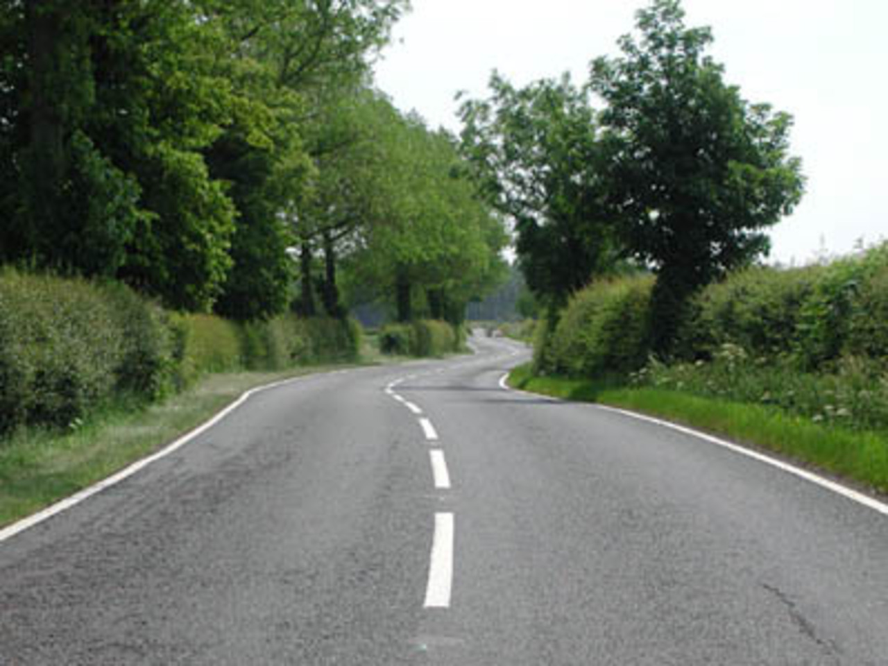 foto roadsafetyfoundation.org
