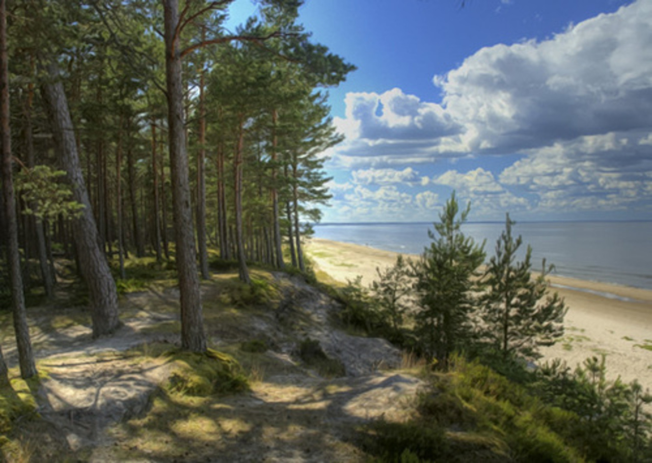foto discoverthetrip.com