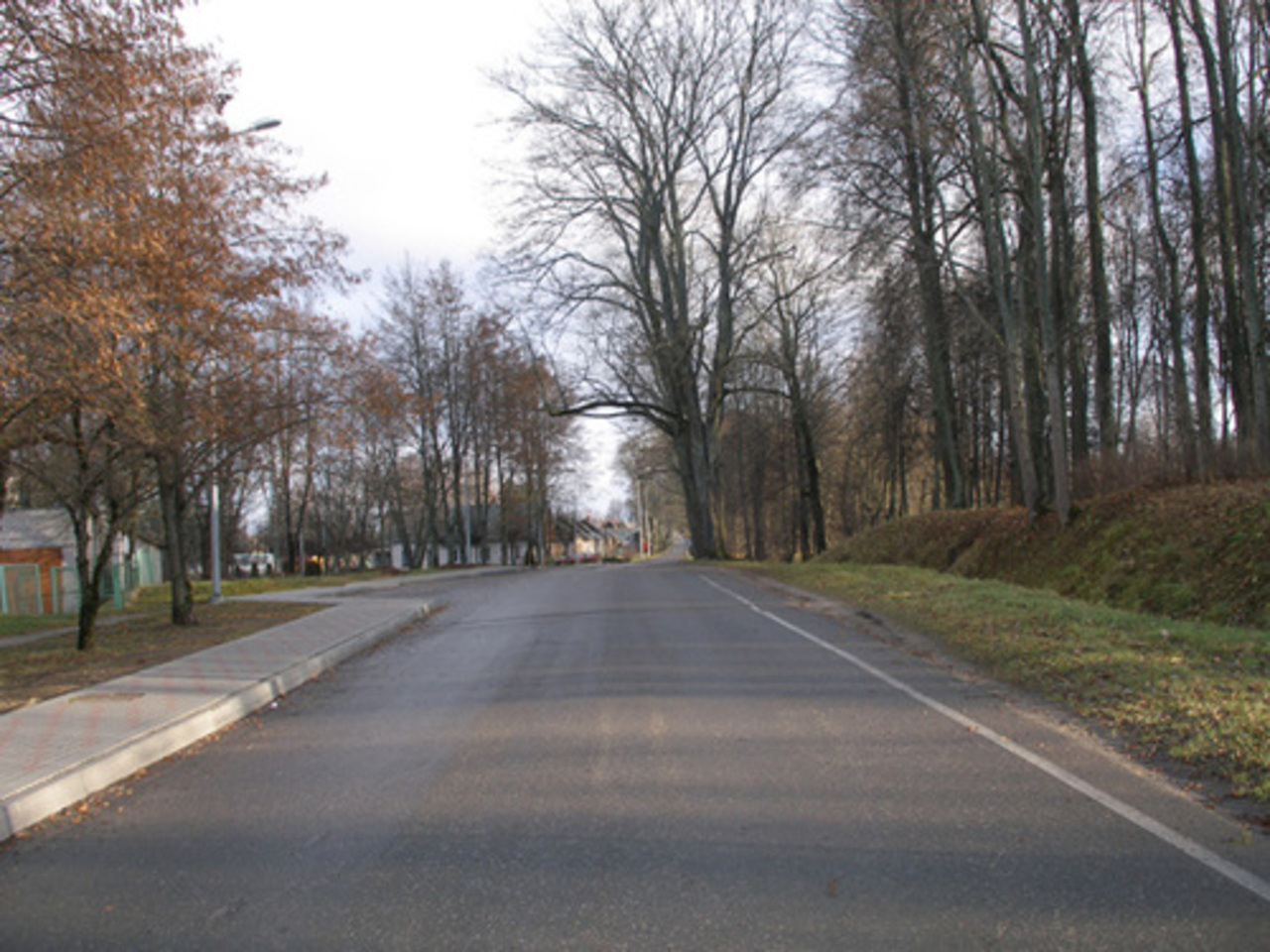 foto pvg.edu.lv