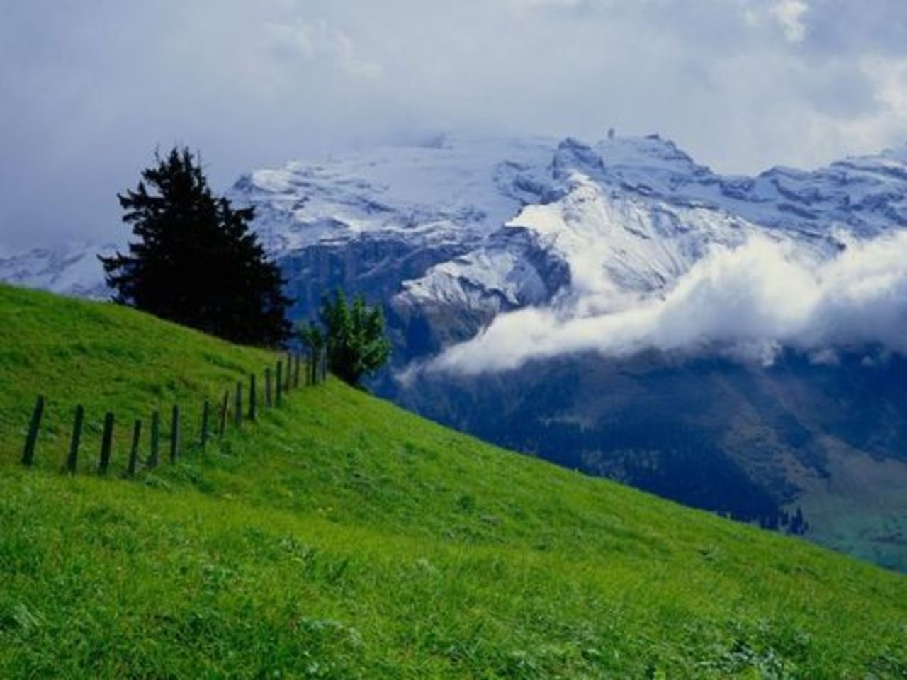 foto bestourism.com