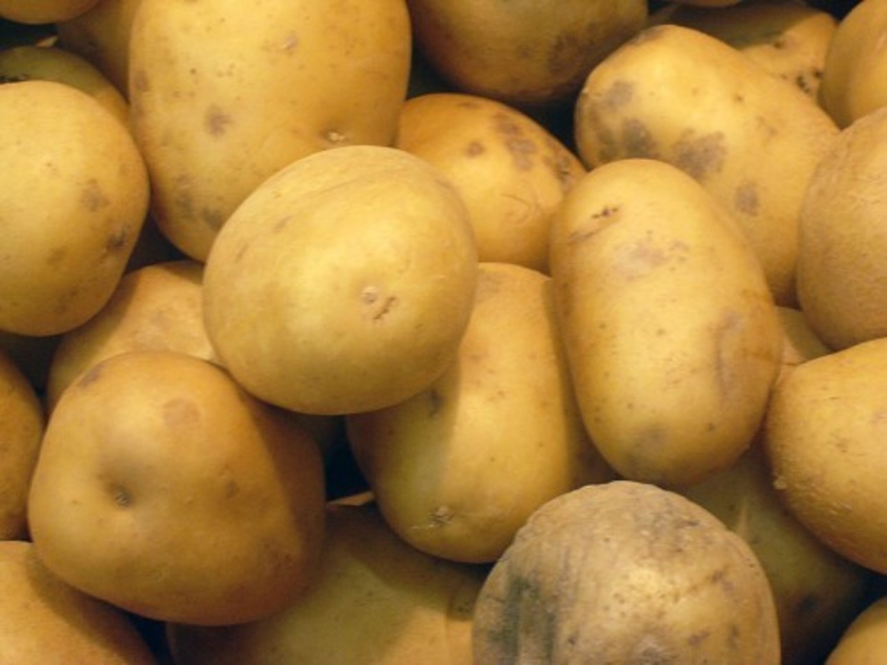 foto mashed-potatoes-recipe.com