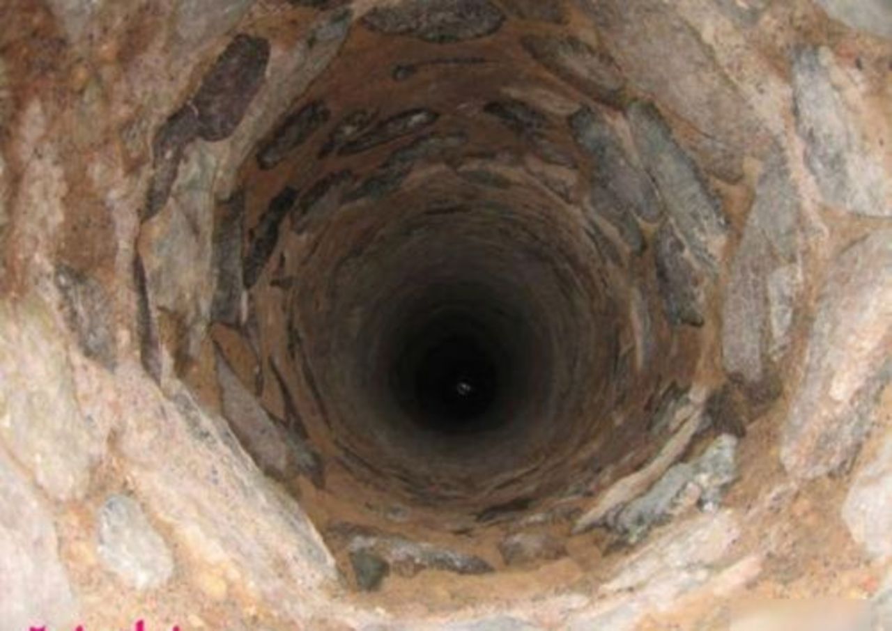 foto trinixy.ru