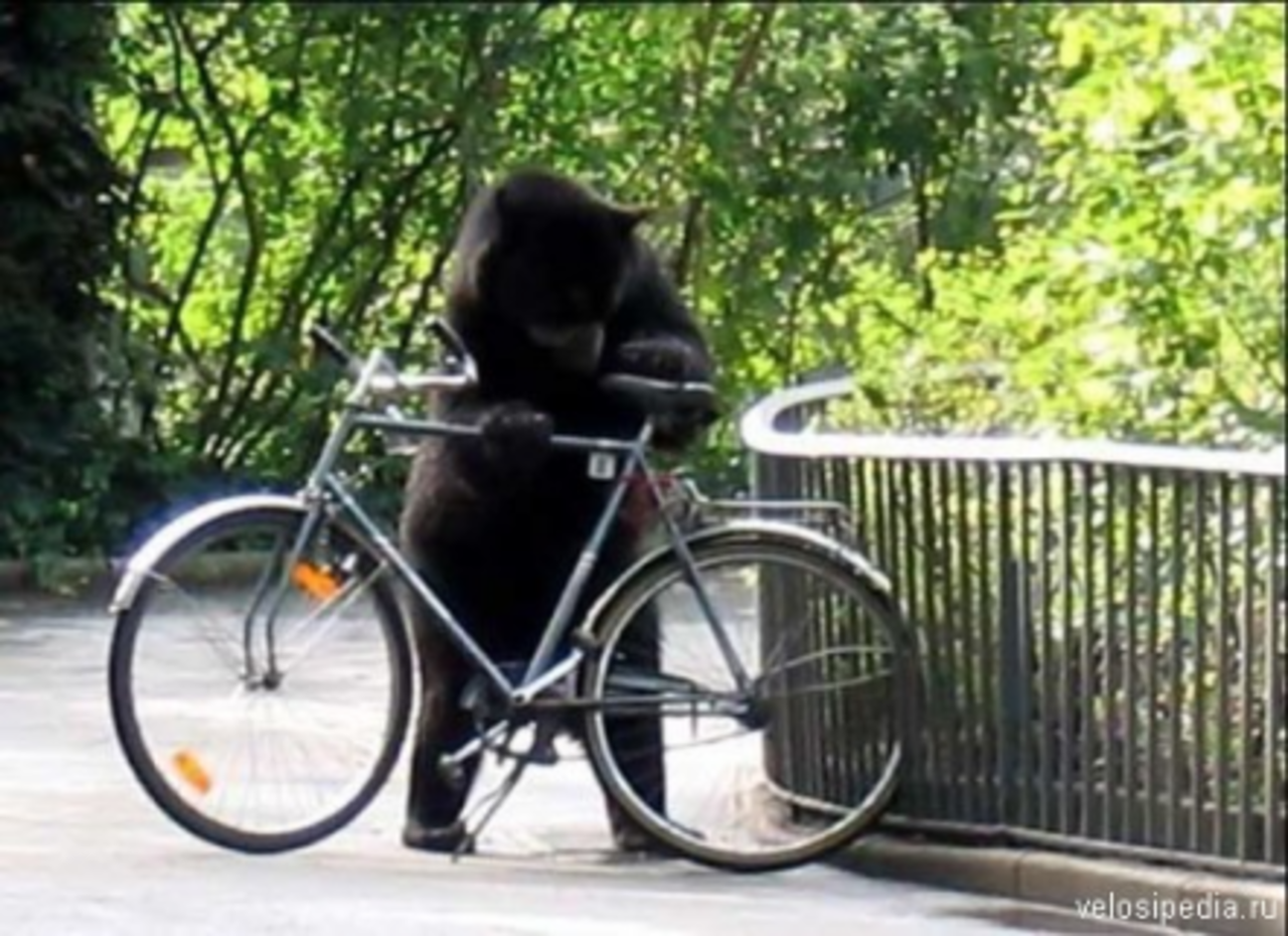фото velosipedia.ru