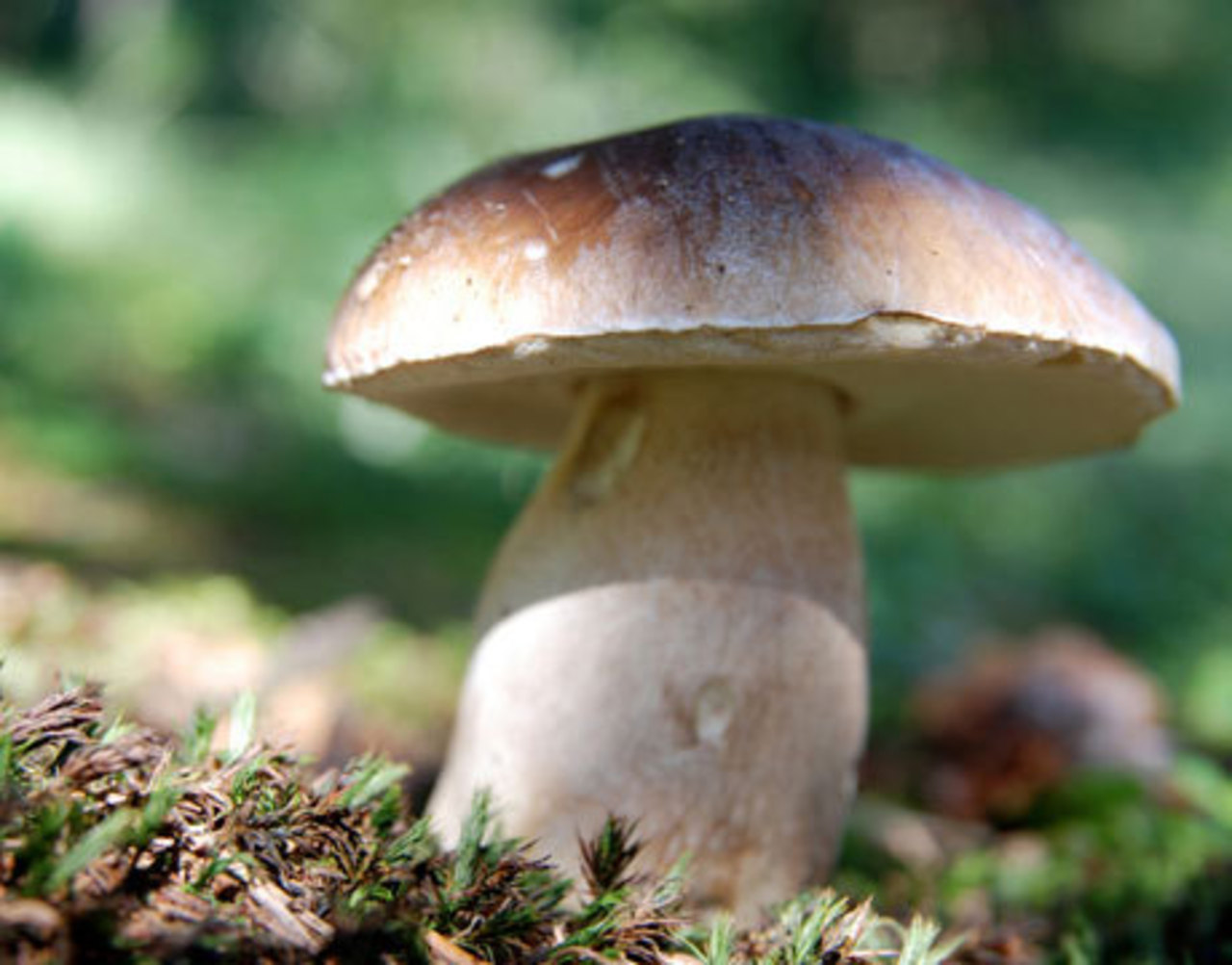 foto ahouseinpoland.blogspot.com