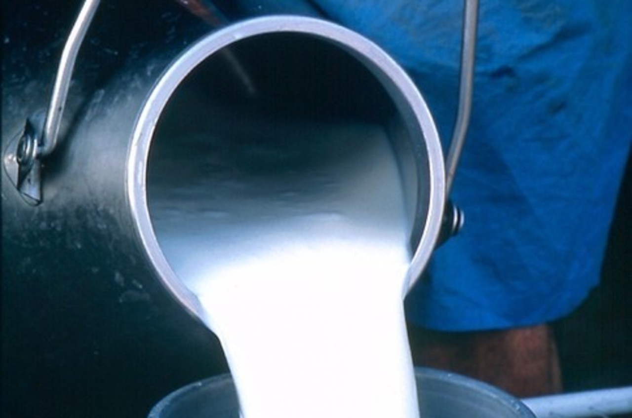 фото fatalenergy.com.ru