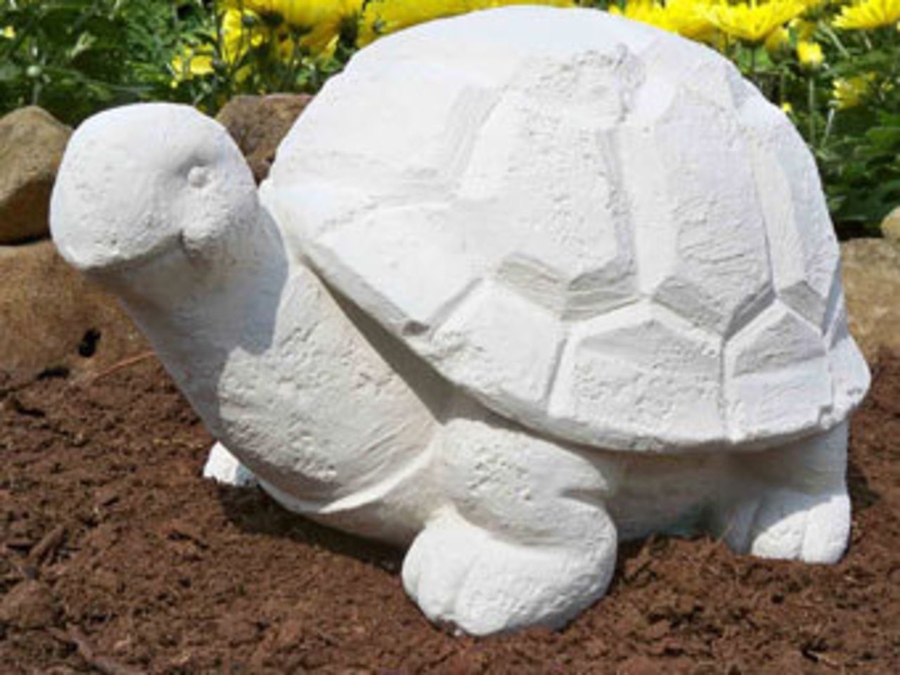 Фото с сайта thepetmarker.com