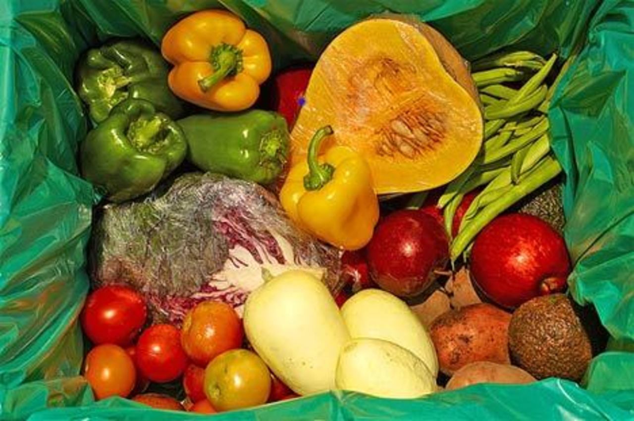 foto agrifoodforum.com