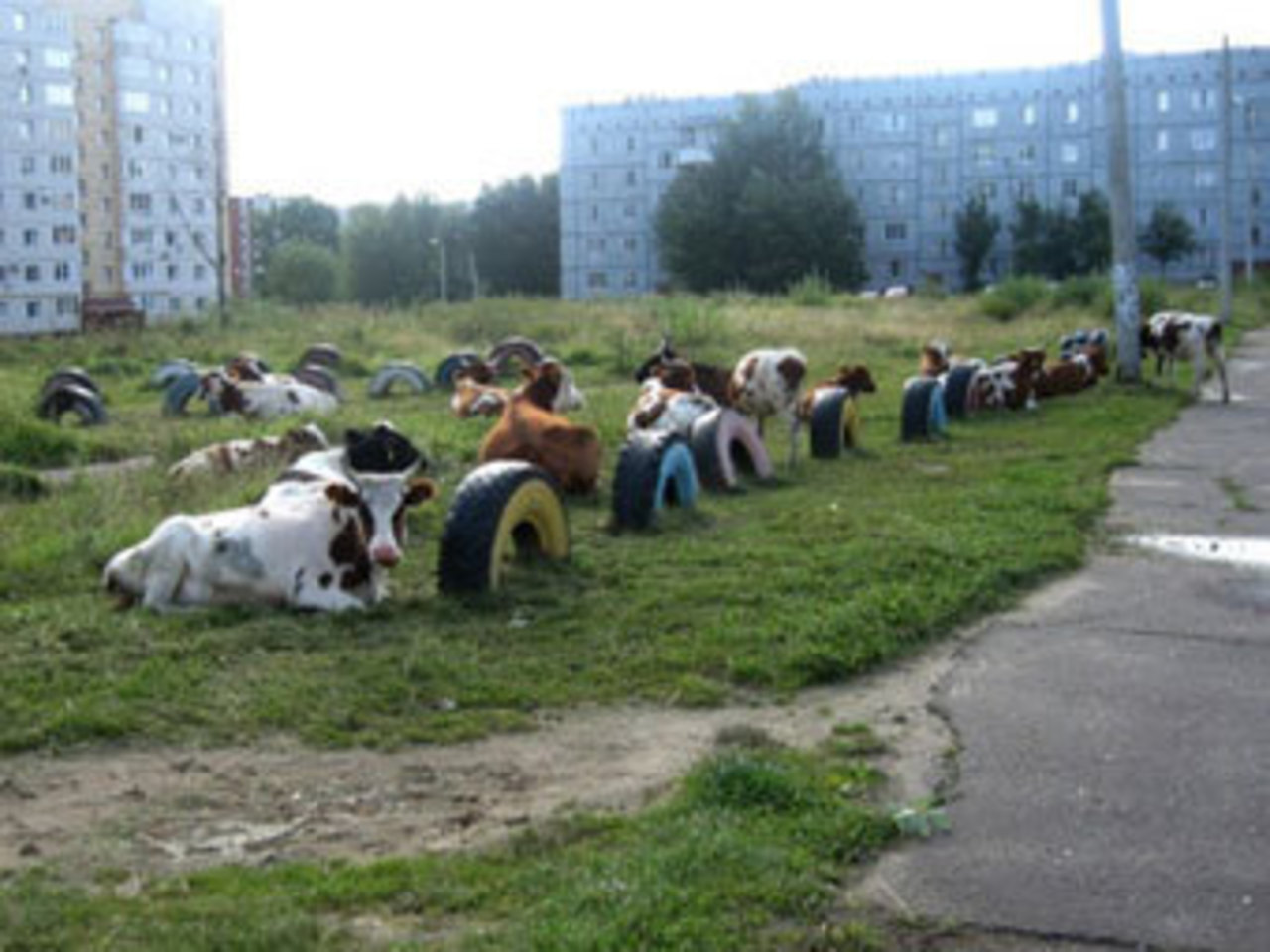фото lenta.ru