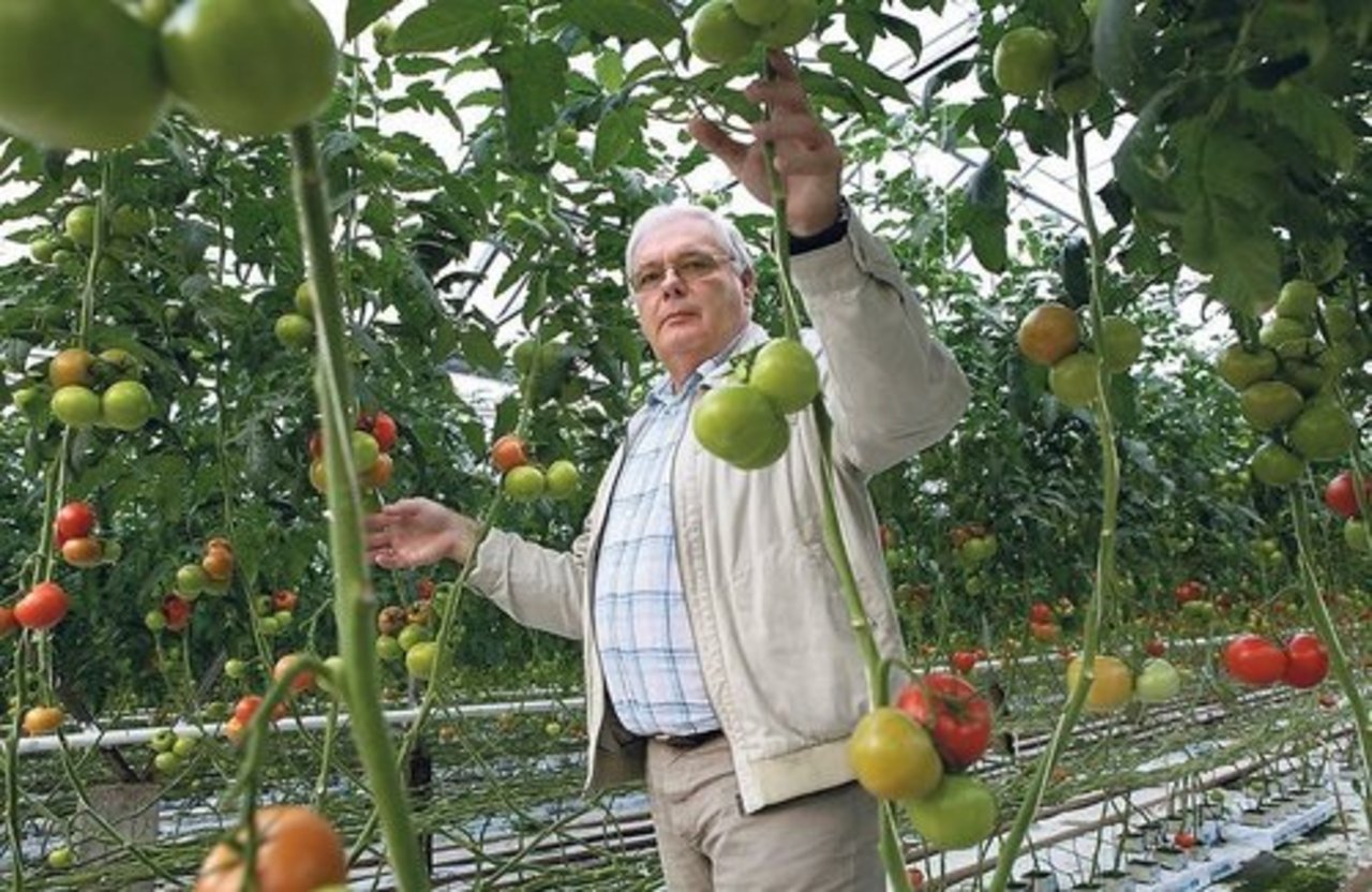 фото Sven Arbet