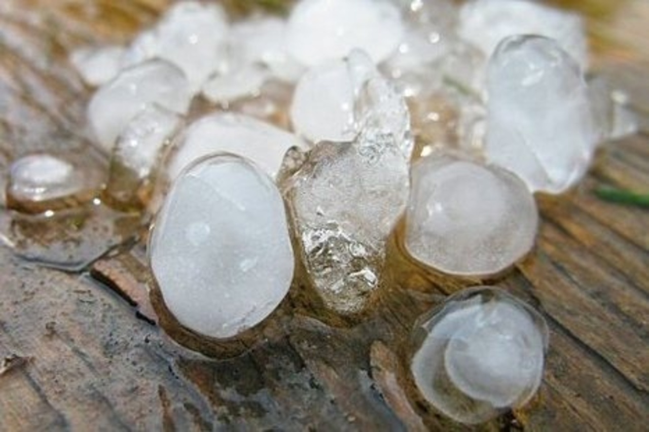 фото: tinyfarmblog.com