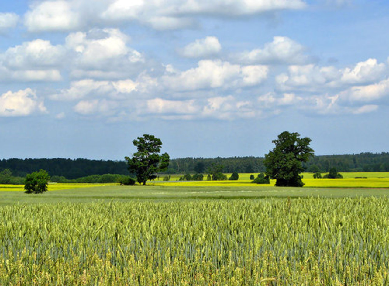 foto Julita Kluša