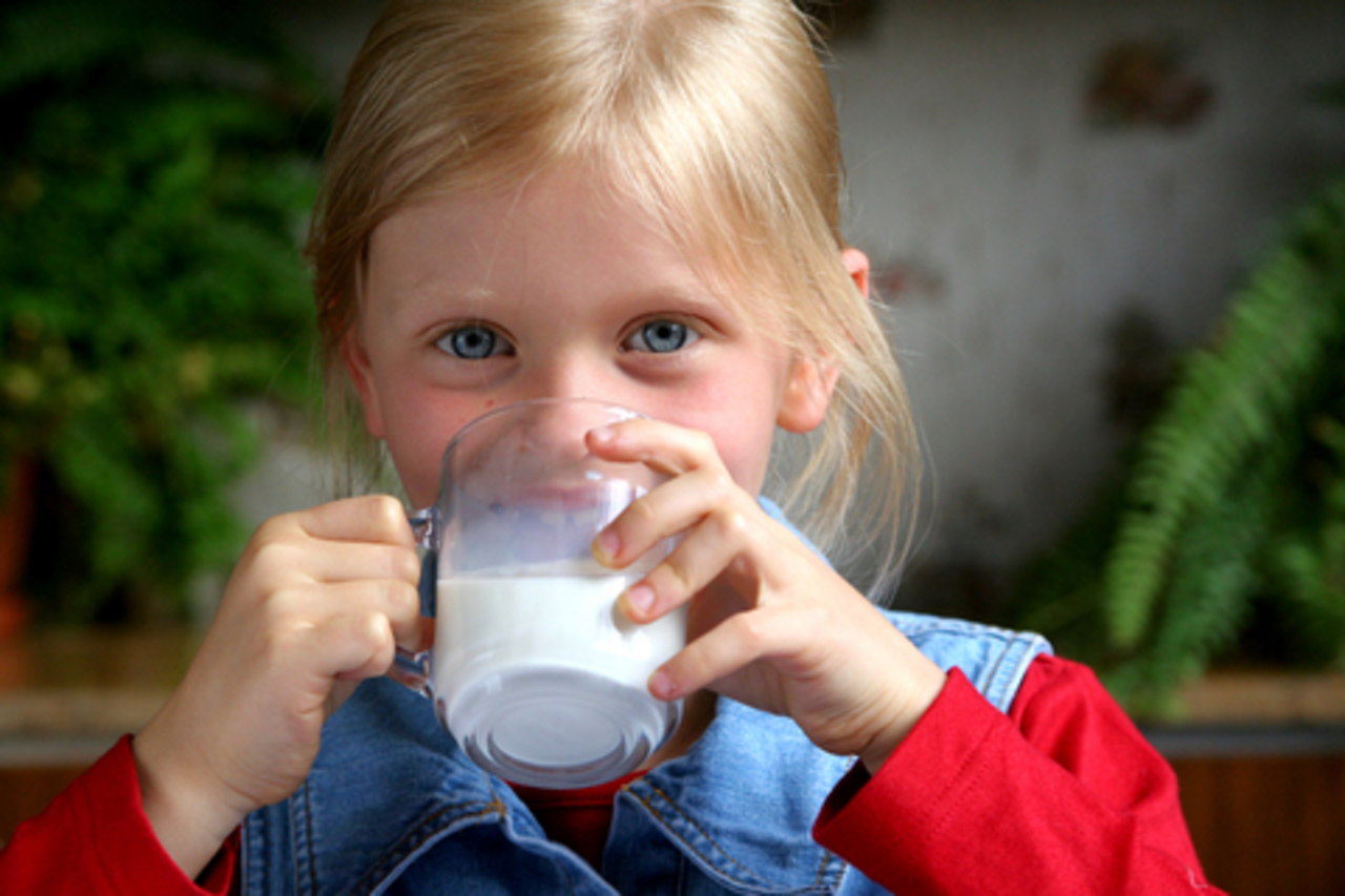 foto nutrikidz.net