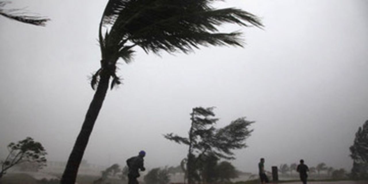 фото с сайта profi-forex.org