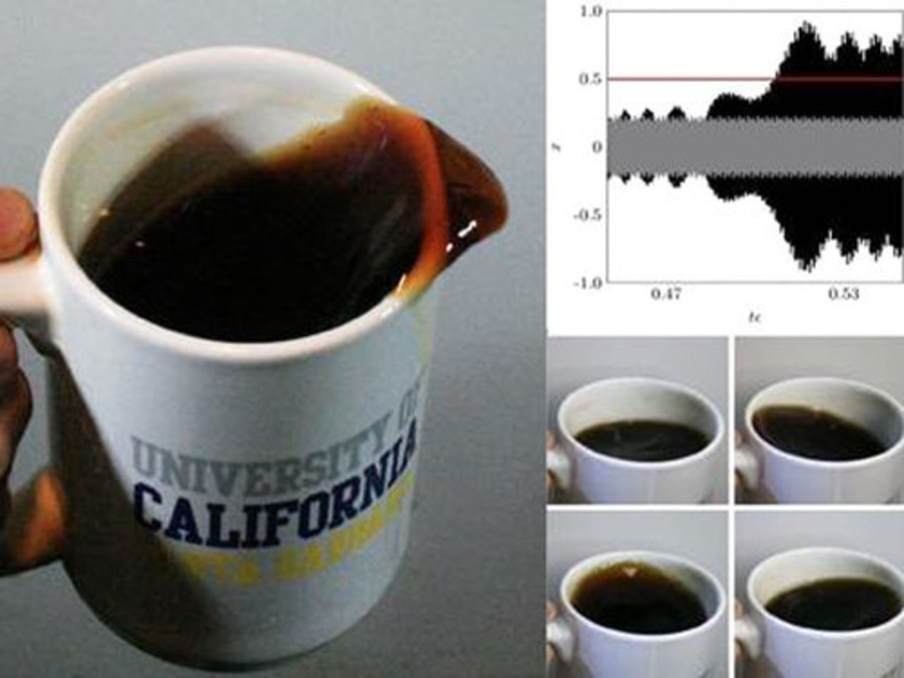 фото University of California