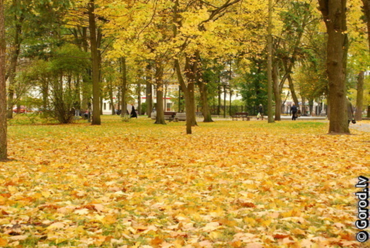 фото gorod.lv