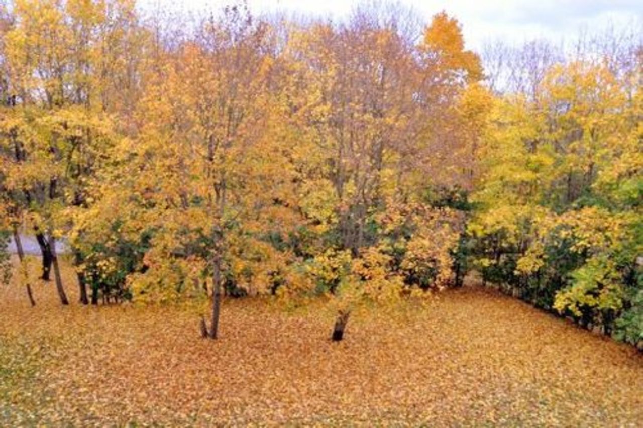 foto ludzaspils.lv