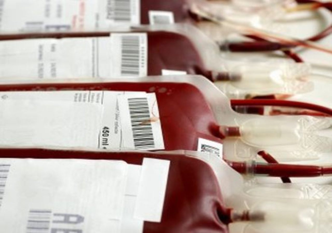 foto anemia.org
