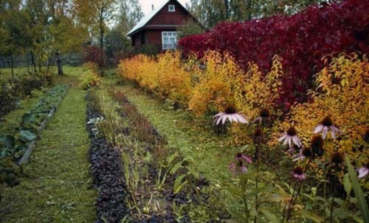 фото lifenatural.ru