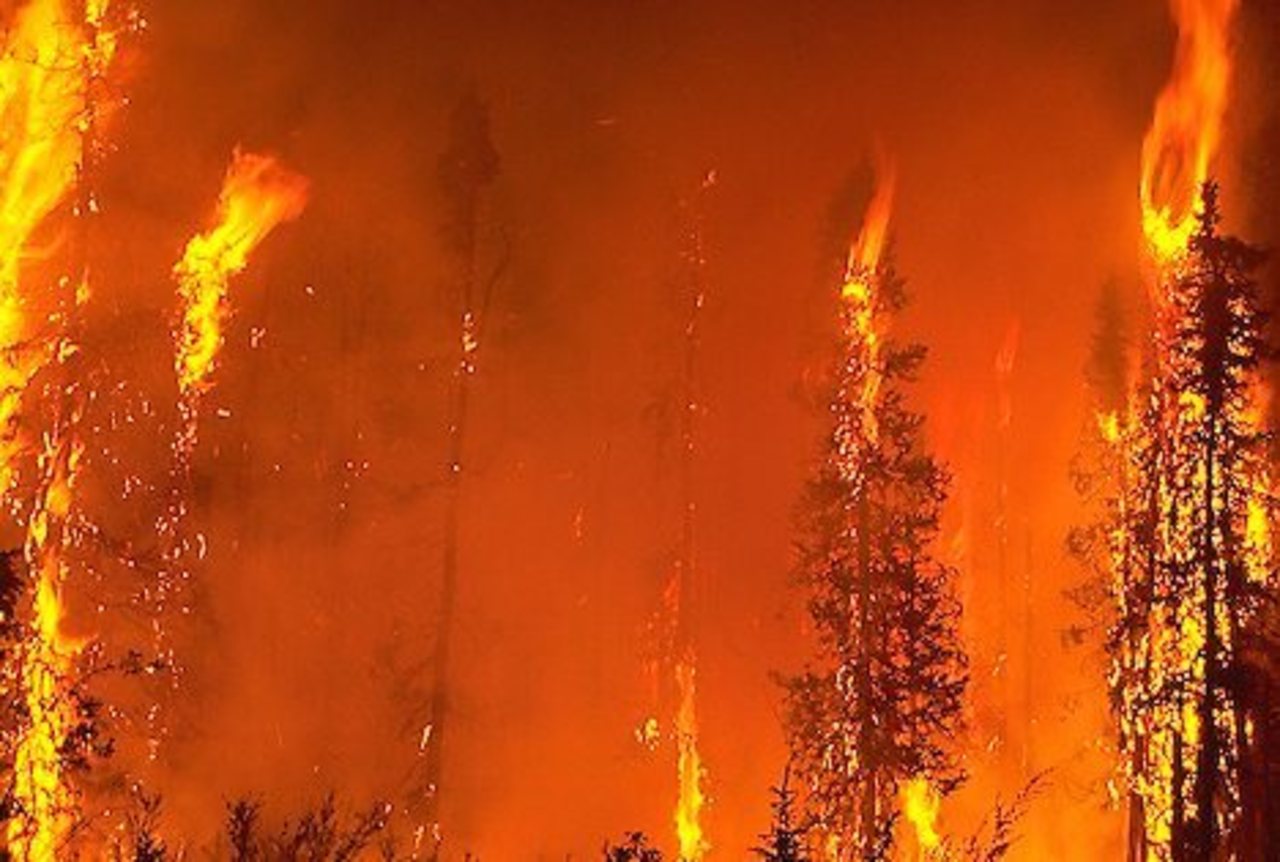 foto hqcomoxvalley.com
